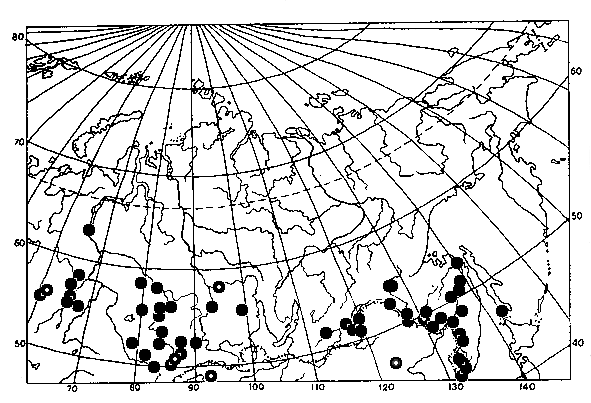 Vespa crabro, distribution map