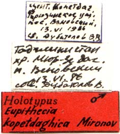 Holotype labels, color image