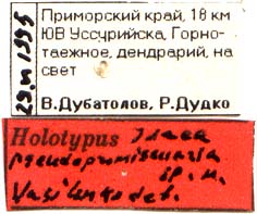 Holotype labels, color image