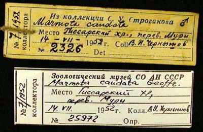 Label, color image