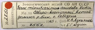 Paratype label, color image