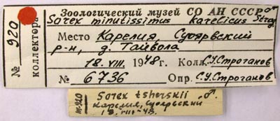 Paratype labels, color image