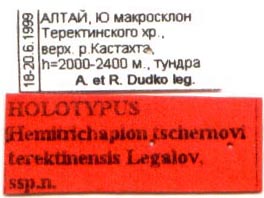 Holotype labels, color image