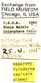 paratype labels, color image