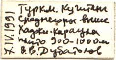 Holotype label, color image