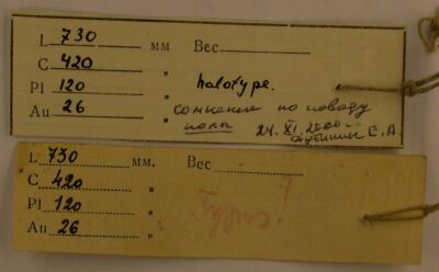 Holotype labels, color image