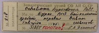 Lectotype label, color image