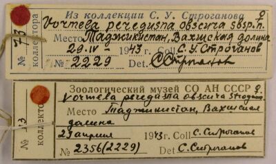 Paratype labels, color image