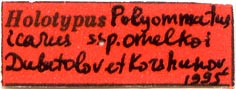 Holotype label, color image